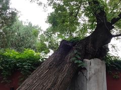 -天宁寺