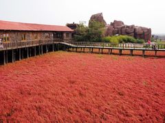 -红海滩国家风景廊道
