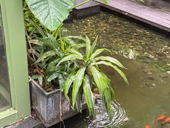-绿房子方寸咖啡(星海名城店)