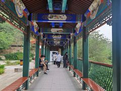 -北京十三陵国家森林公园蟒山景区
