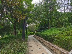 -神光山国家森林公园