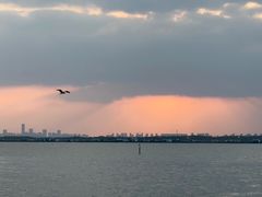-阳澄湖半岛旅游度假区