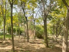 -天津东丽湖风景区