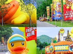 -东南花都花博园