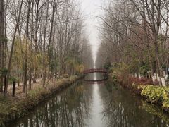 -合肥滨湖国家森林公园