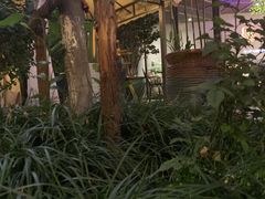 -龙猫意杯花园餐厅(芙蓉湖店)