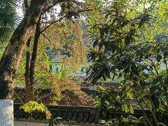 -岳麓山风景名胜区