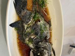 -骏莱海鲜鱼港(五角场店)