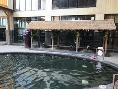 -嘉佑温泉水世界