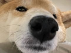 -小时光咖啡馆(北锣鼓巷店)