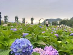 -魔指传奇足疗保健SPA(牛市口店)