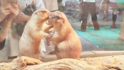 -Zoolung Zoolung动物主题公园(海信广场店)