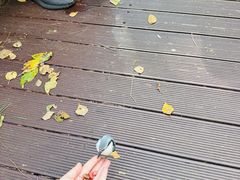 -汤旺河林海奇石景区