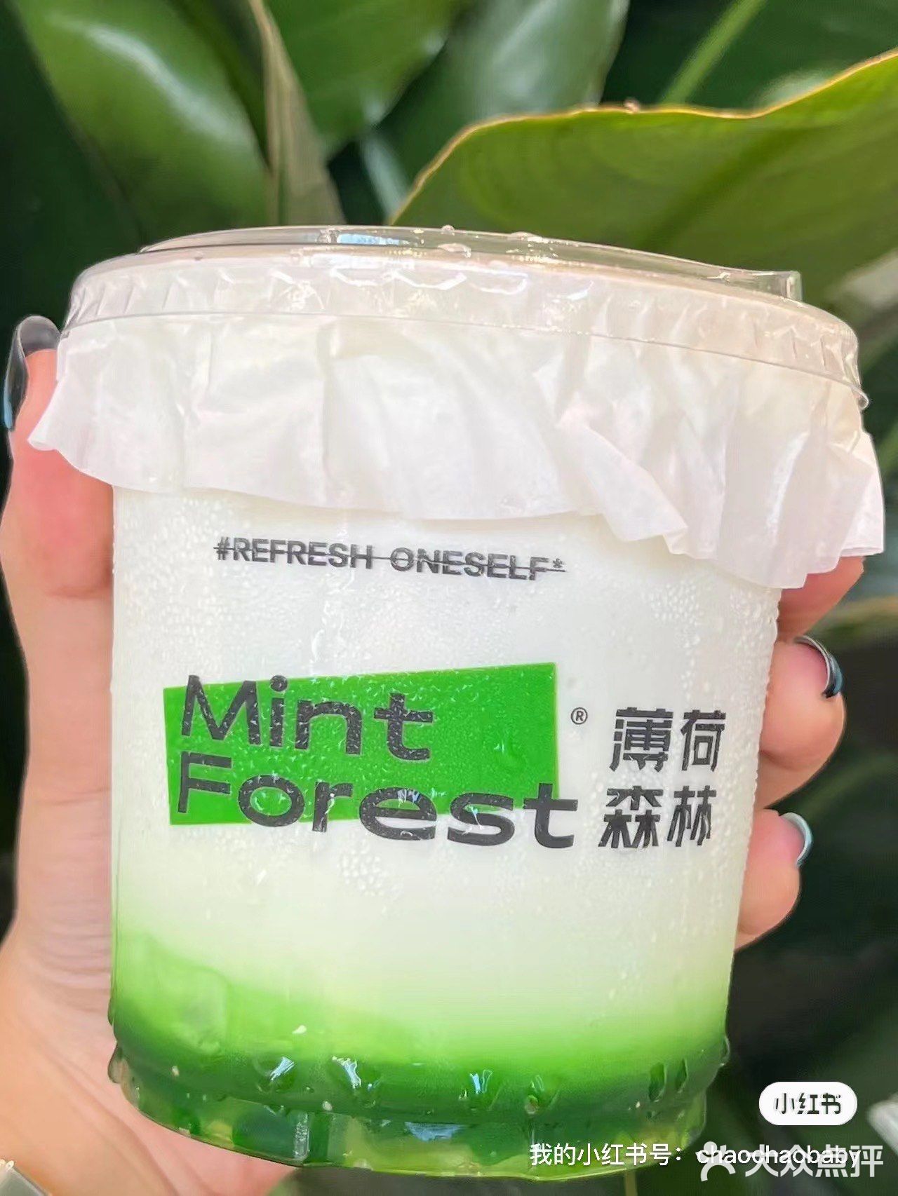 刚开业就大排长龙的薄荷森林