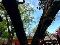 -晋祠博物馆