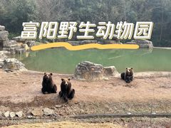 -杭州野生动物世界