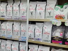 -瑞鹏宠物医院华南总院·夜诊·心脏科·骨科