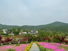 -石塘人家
