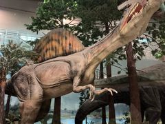 -湖南省地质博物馆