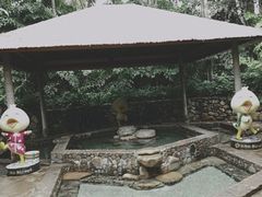 -厦门日月谷温泉渡假村