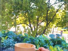 -Peet's Coffee皮爷咖啡(大学路店)