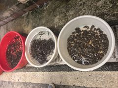 -永汉农贸综合市场