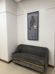 -AIST爱思特医疗美容医院