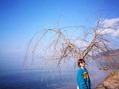 -抚仙湖禄充风景区
