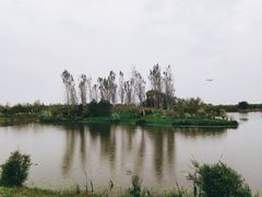 -东郊湿地公园