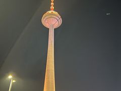 -辽宁电视塔
