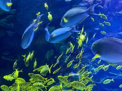 -欢乐海岸海洋奇梦馆