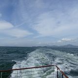 大灣區二號⛴️🚢🛥️