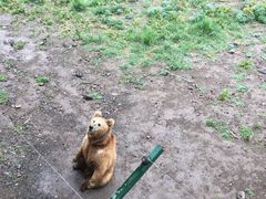 -新疆天山野生动物园
