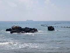 -小麦岛公园