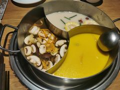 -青瓷火锅料理(西单大悦城店)