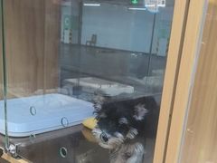 -FAELING PETS美天灵宠物(富力广场店)