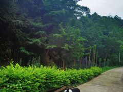 -九尺赵老四鲜鹅肠火锅