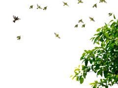 -白沙门生态公园