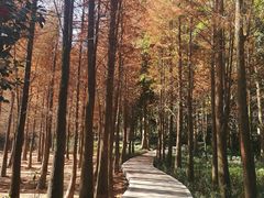 -广州市帽峰山景区