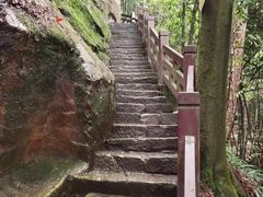 -缙云山景区