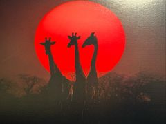 -罗红摄影艺术馆