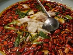 -沪碟·精菜坊(闵行店)