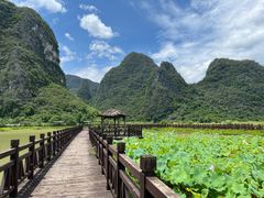 -钟山水墨田园