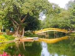 -晓港公园