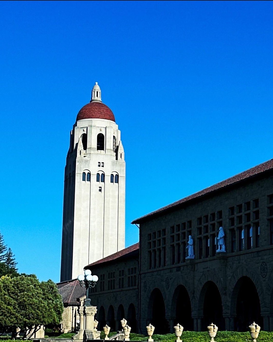 斯坦福大学历史背景图片