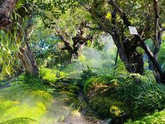 -Chom Cafe and Restaurant