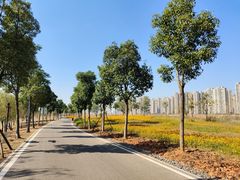 -洋湖国家湿地公园