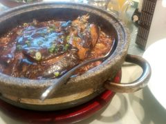 -海派美食·家宴海鲜青岛菜·石锅鲽鱼头(东方城店)