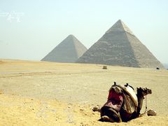 景点-吉萨金字塔群