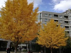 -辽宁大学(崇山校区)